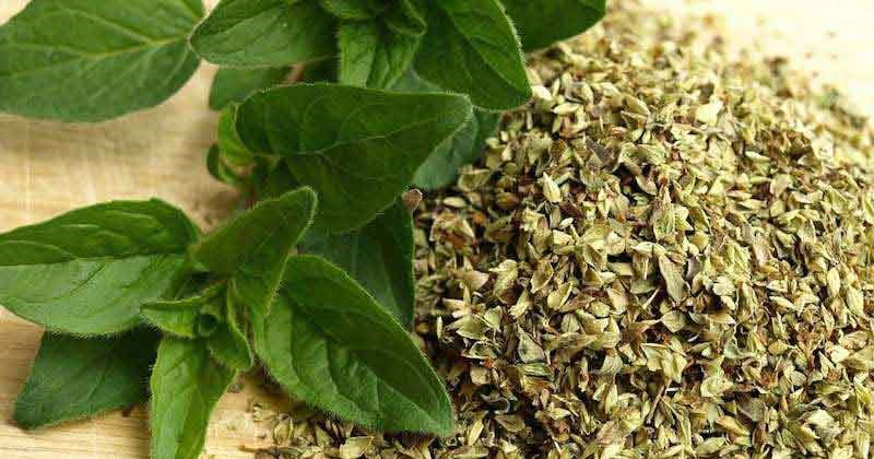 با مصرف این گیاهان دارویی، به سلامت از پاییز گذر کنید!
