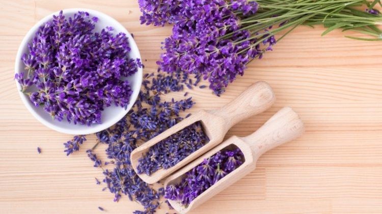 با مصرف این گیاهان دارویی، به سلامت از پاییز گذر کنید!