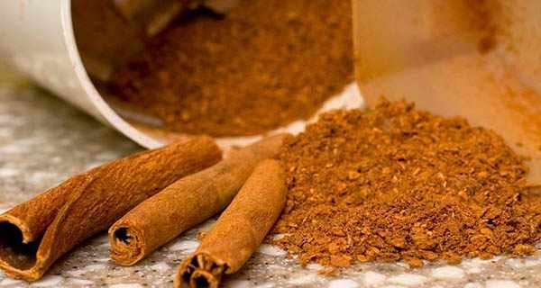 با مصرف این گیاهان دارویی، به سلامت از پاییز گذر کنید!
