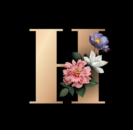 طراحی حرف H, تصاویر طراحی حرف H