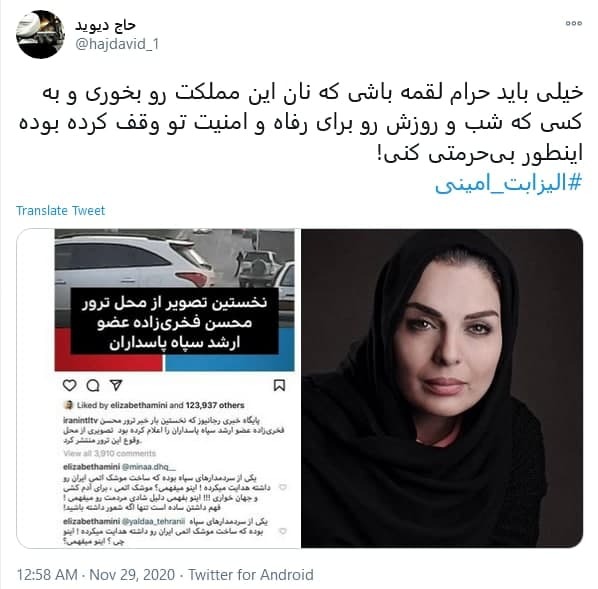 خانم #الیزابت_امینی، لطفا آروم تر وطن فروشی کنید
