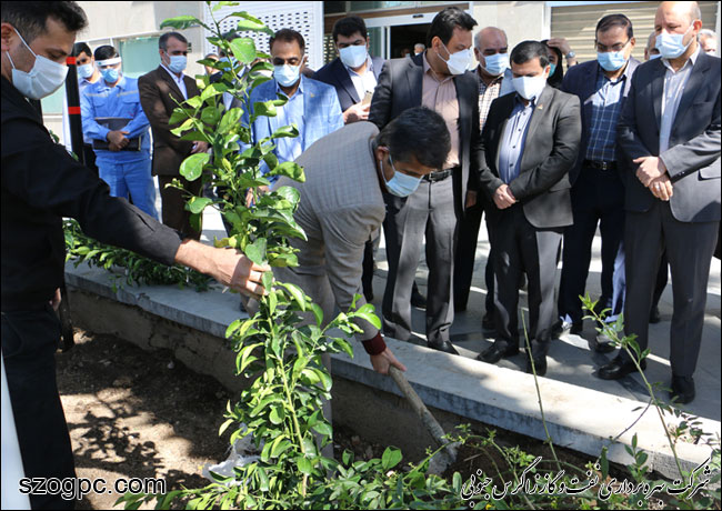 کارکنان زاگرس جنوبی با کاشت ۱۰۰۰ اصله نهال در روز درختکاری 12