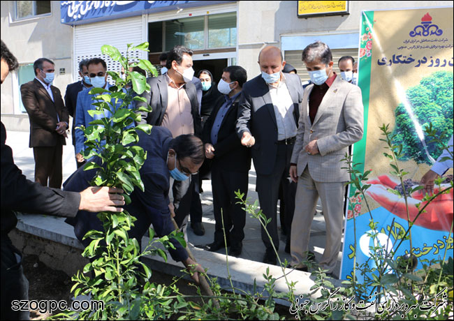 کارکنان زاگرس جنوبی با کاشت ۱۰۰۰ اصله نهال در روز درختکاری 19