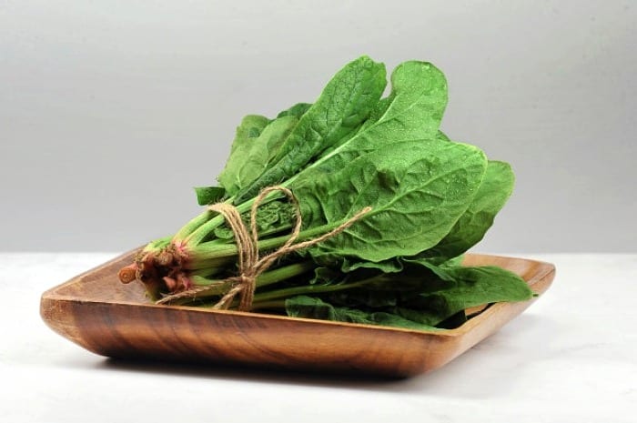 کاشت اسفناج