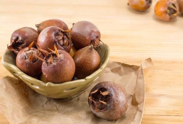 ازگیل برای دیابت