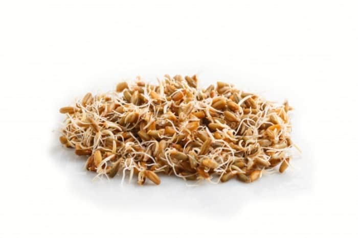 عوارض جوانه گندم