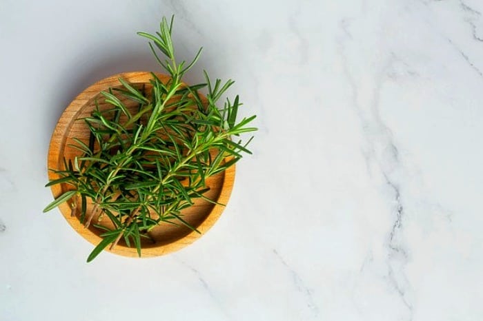 طریقه کاشت گیاه رزماری