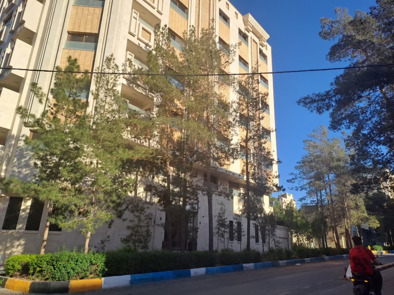 قطع درختان خیابان ملاصدرای اصفهان