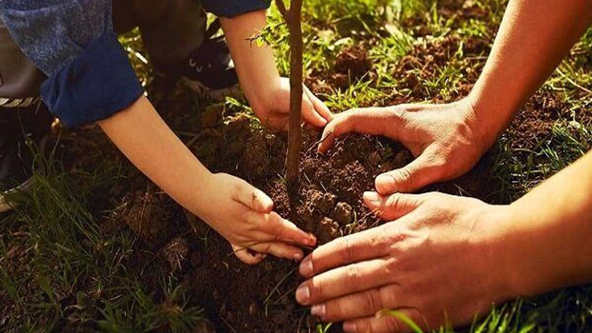۱۱۰ پویش منابع طبیعی در اصفهان همزمان با جنگ اخیر اجرا شد