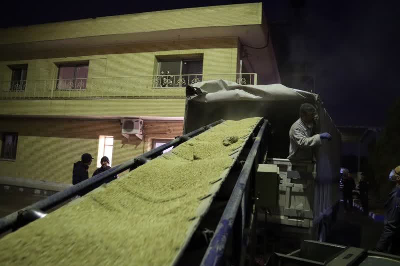 مرگ در سیلوی گندم