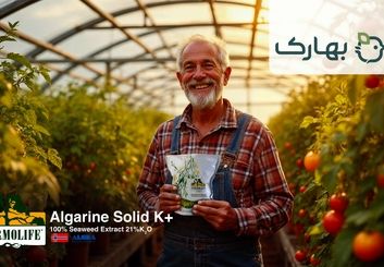 کود جلبک، کود آمینواسید، کود سه بیست و کود آهن چهار جنگجوی حرفه ای برای کشاورزان و تربیت شده توسط بهاران