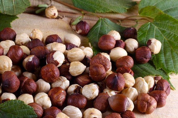 تعبیر خواب فندق امام صادق و حضرت یوسف