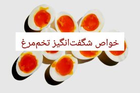 خواص و مضرات تخم مرغ؛ زرده تخم مرغ چه ویتامینی دارد؟