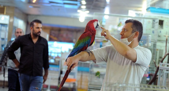 پایان جولان پرنده‌فروشی‌های پراکنده؛ مجتمع پرندگان بومی اصفهان در ایستگاه واگذاری