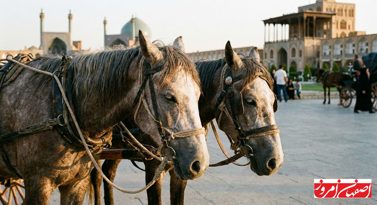 وفاداری در گرما و سرما: داستان اسب‌ها و فداکاری بی‌پایان