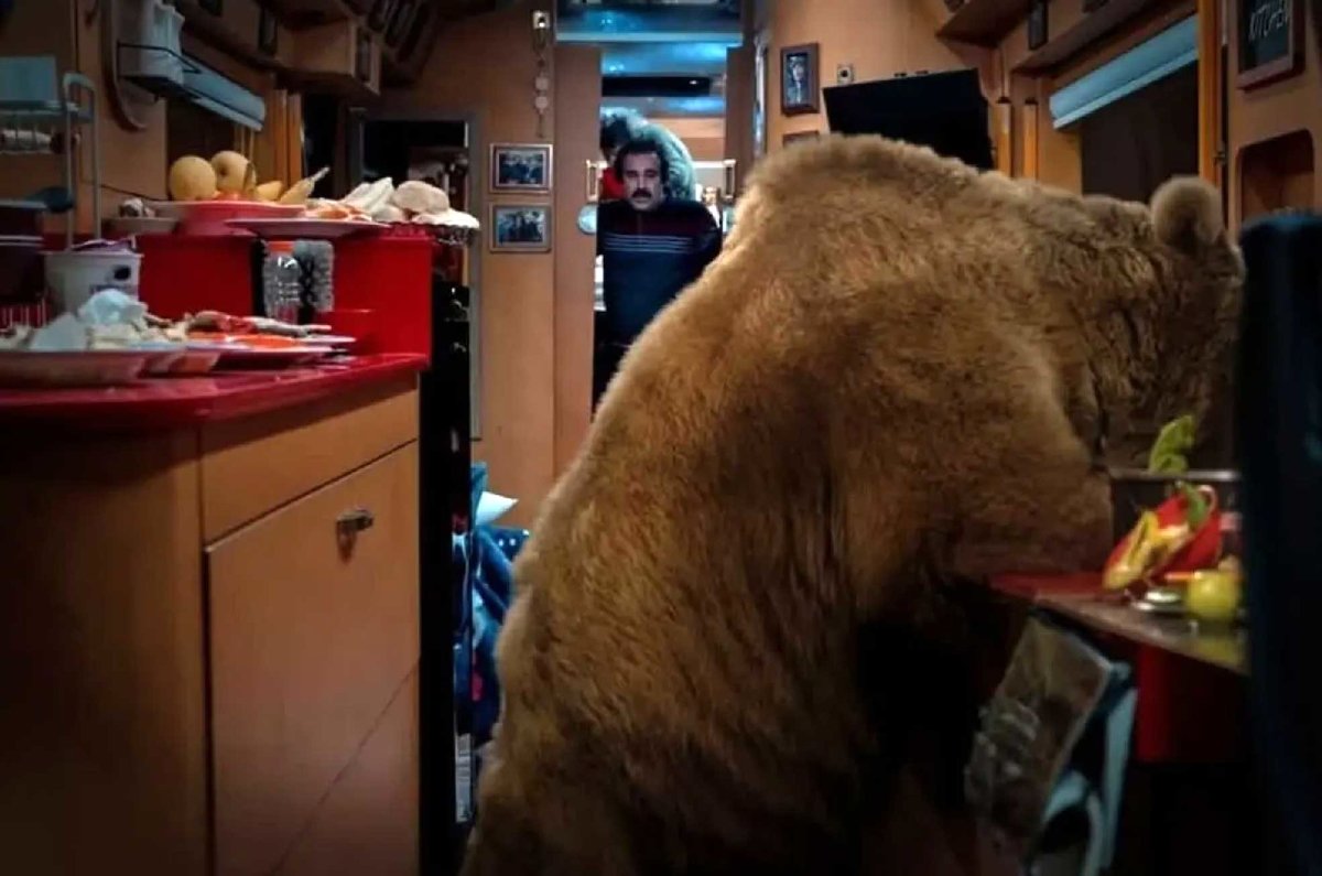 از هیجان «پایتخت» تا رنج حیوانات صفه