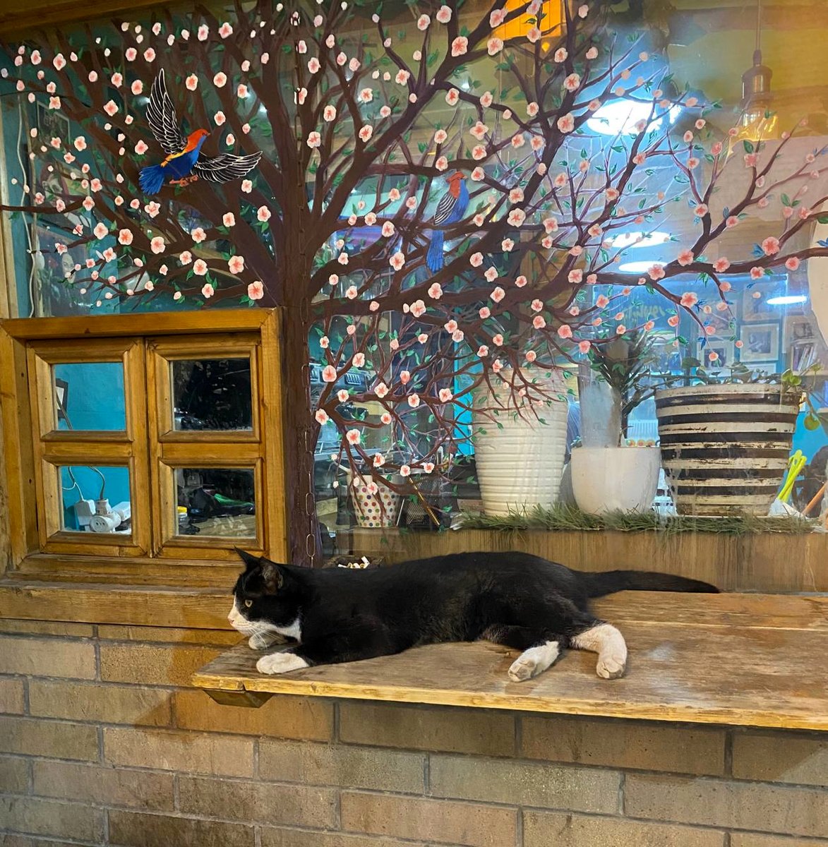 جامعه‌ای که هنوز می‌توان به آن امیدوار بود