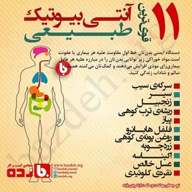 ۱۱ آنتی بیوتیک‌ طبیعی را بشناسید+ اینفوگرافی