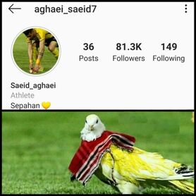 محرومیت عجیب بازیکن سپاهان از بازی با پرسپولیس به خاطر یک کبوتر + عکس
