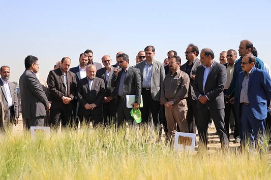 پیشرفت کشاورزی اصفهان در شاخص‌های مختلف