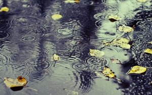 رشد یک درصدی بارش ها در سال آبیِ جاری