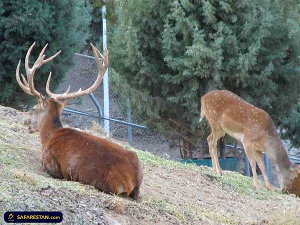 کوه صفه اصفهان