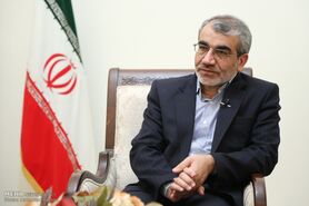 اعلام آرای انتخابات ریاست جمهوری تدریجی باشد