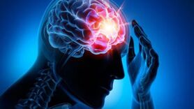 کاهش آسیب مغزی با کمک سم عنکبوت