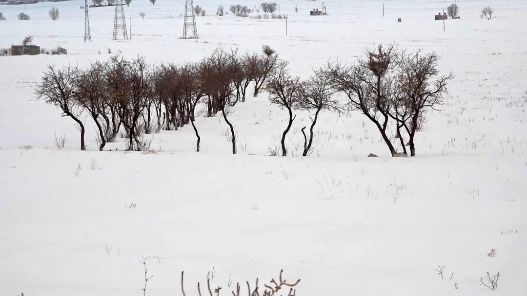بارش برف در شهرستانهای بوئین میاندشت و فریدن