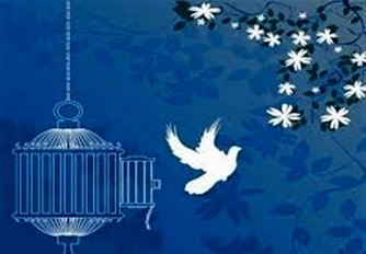 کاربران تلگرام در یک روز دیه یک زندانی را جمع کردند