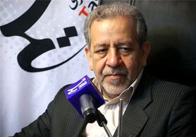 زرگرپور: برخی حرکات در جشن پیروزی "روحانی" نباید انجام ‌می‌شد