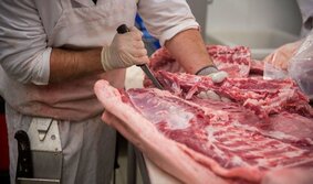 تب کریمه کنگو را جدی بگیریم