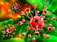 همه چیز درباره تب كنگو؛ خطرناك ولی قابل پیشگیری