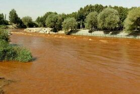 محیط زیست باید پاسخگوی قرمزشدن زاینده رود در مبارکه باشد
