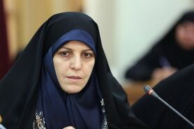 لزوم عملیاتی شدن بیمه‌های خاص زنان سالخوره، بیوه و خودسرپرست