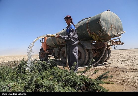 طرح اهدای نهال به شهروندان اصفهانی برای نخستین بار انجام می‌شود