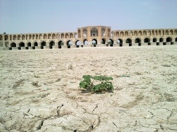 از تدوین برنامه جامع مدیریت زیست بومی تالاب گاوخونی تا وعده مسئولان