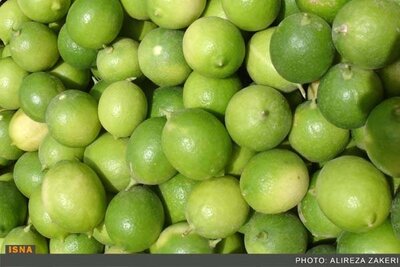 كشف 3 تن ليموي قاچاق در نائين