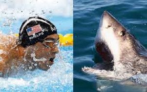 مسابقه‌با یک"کوسه سفید"