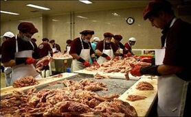 استفاده از خمیر مرغ آزاد نشده است