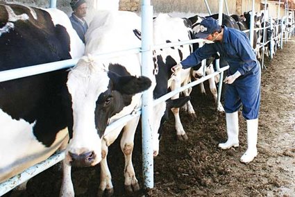 روند کاهشی آمار ابتلا به تب مالت