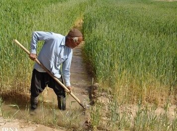 اقدام خداپسندانه مؤسسه عیاران در کشور نوظهور است