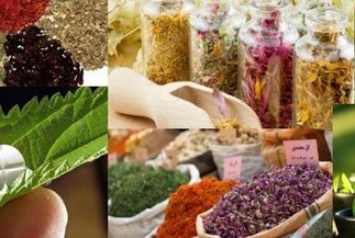 قابلیت‌های معقول و منطقی طب سنتی ایرانی باید ترویج شود