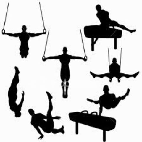 ژیمناستیک رشته تابستانی نیست