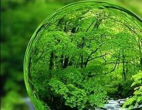 تاکسیدرمی برای حفظ تنوع زیستی