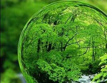 تاکسیدرمی برای حفظ تنوع زیستی