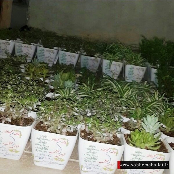 اقدام جالب جوان خوش ذوق محلاتی برای دعوت از میهمانان عروسی