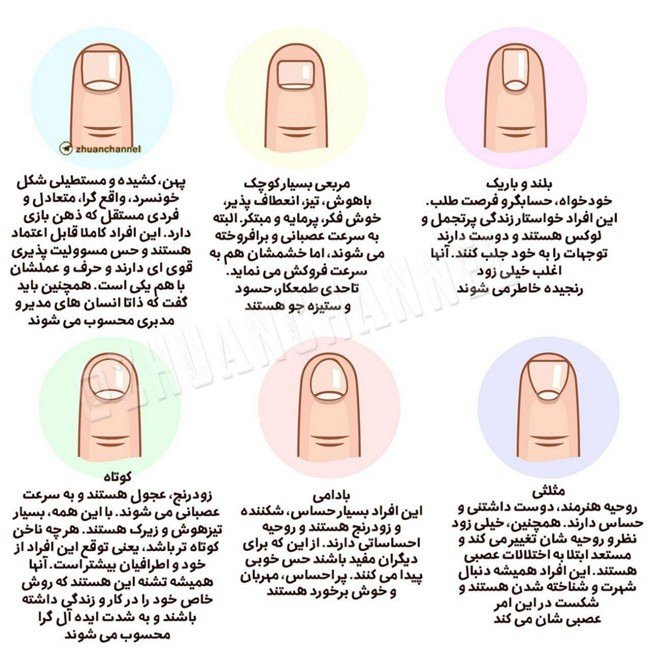 اینفوگرافی: شخصیت شناسی با شکل ناخن