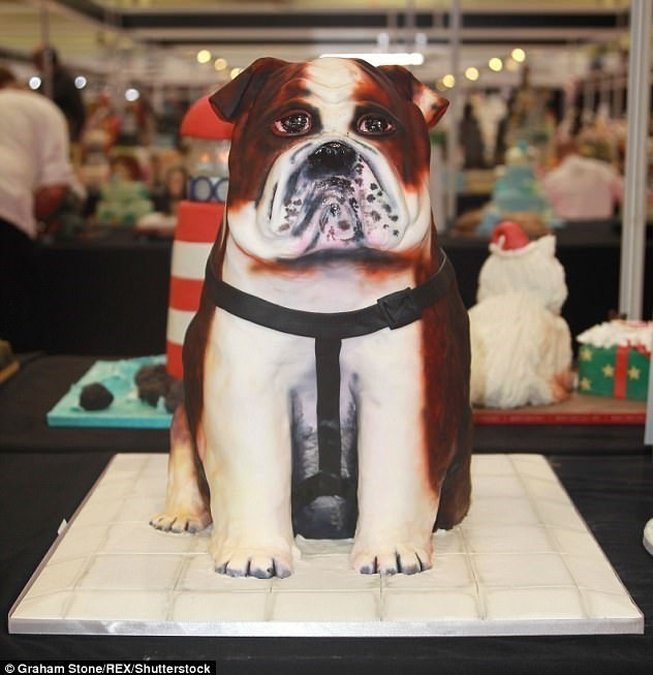 بزرگترین رقابت کیک جهان