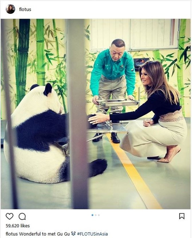 غذا دادن ملانیا ترامپ به پاندای معروف چین